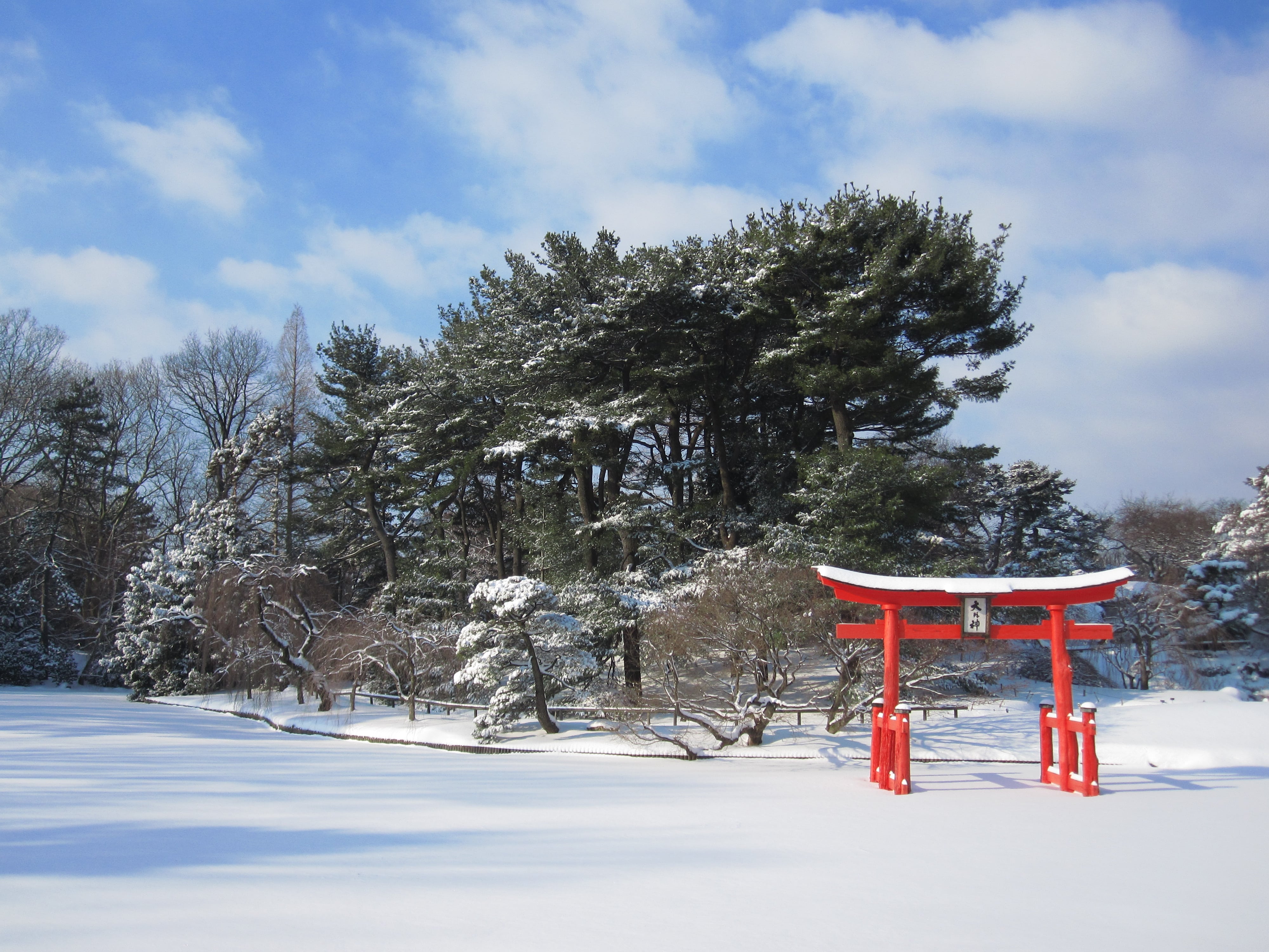 Brooklyn Botanic Garden Brownstoner